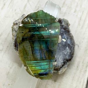 FLASHY Lab Ring 🔮